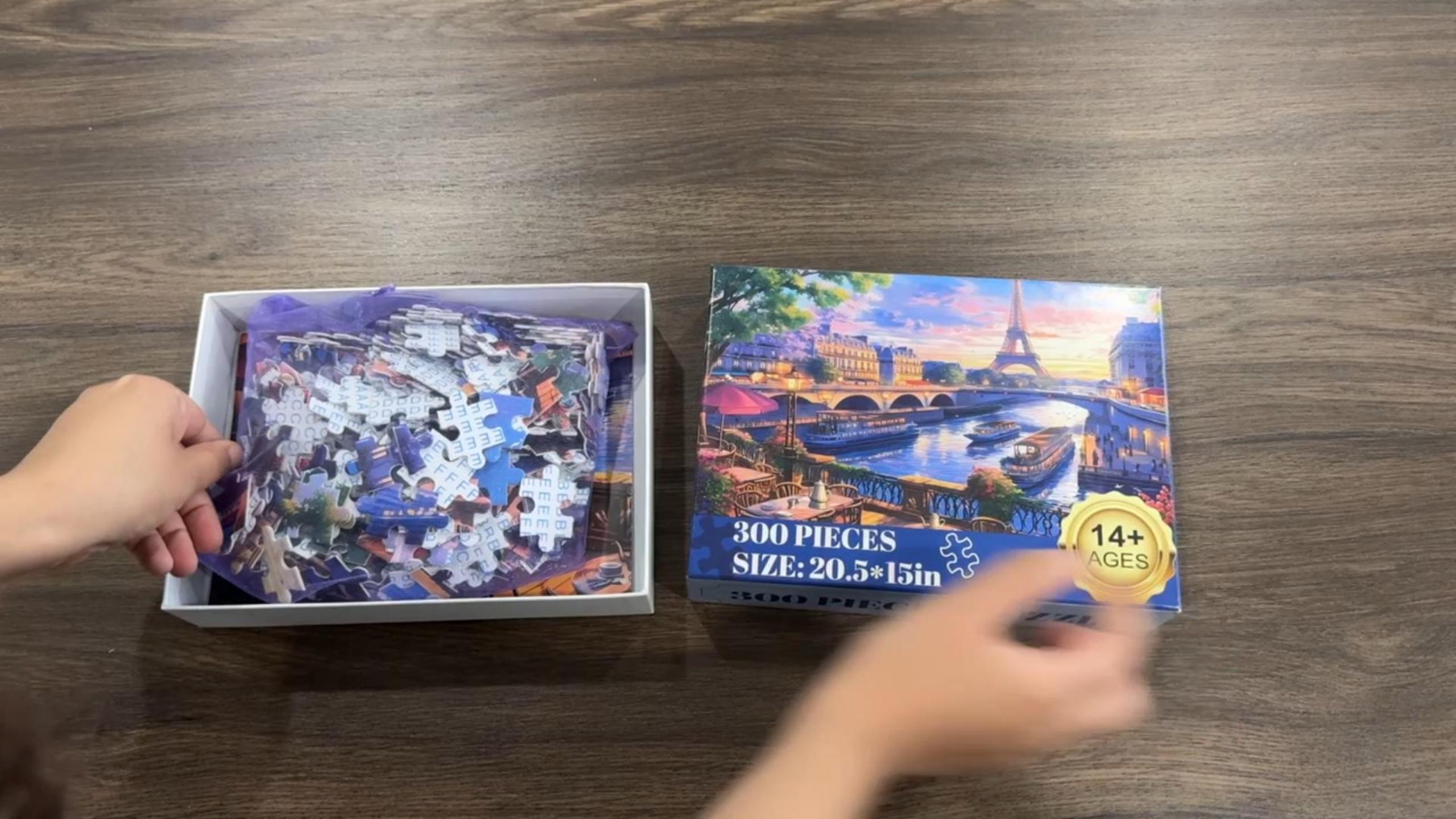 Amazon.com: 300 Piece Puzzle for Adults-Blooming Paris | Recycled